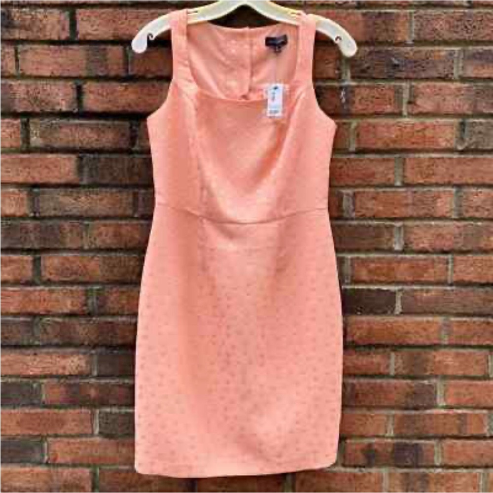 NWT The Limited Peach Coral Jacquard Sheath Mini Dress Size 14